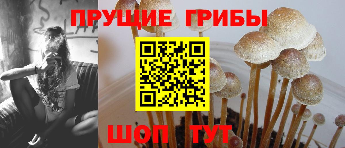 Ликино-Дулёво  Галлюциногенные грибы мухоморы  Вход с VPN  Галлюциногенные грибы GOLDEN TEACHER 
