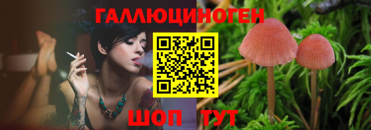 Псилоцибиновые грибы Psilocybine cubensis Ликино-Дулёво